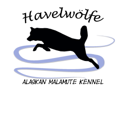 Kraft und Schönheit zwischen Wald und Havel